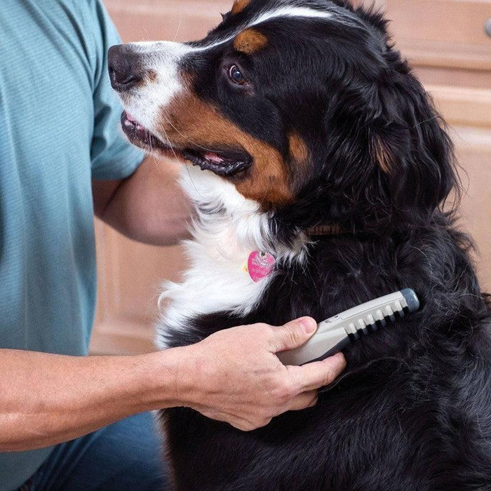 The Electric Pet Grooming Comb - EverWindy Market