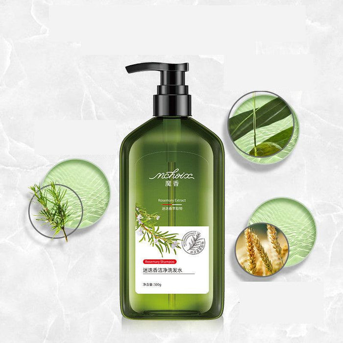 Rosemary Shampoo Body Wash For Hair Care, Refreshing And Oil Control - EverWindy Market