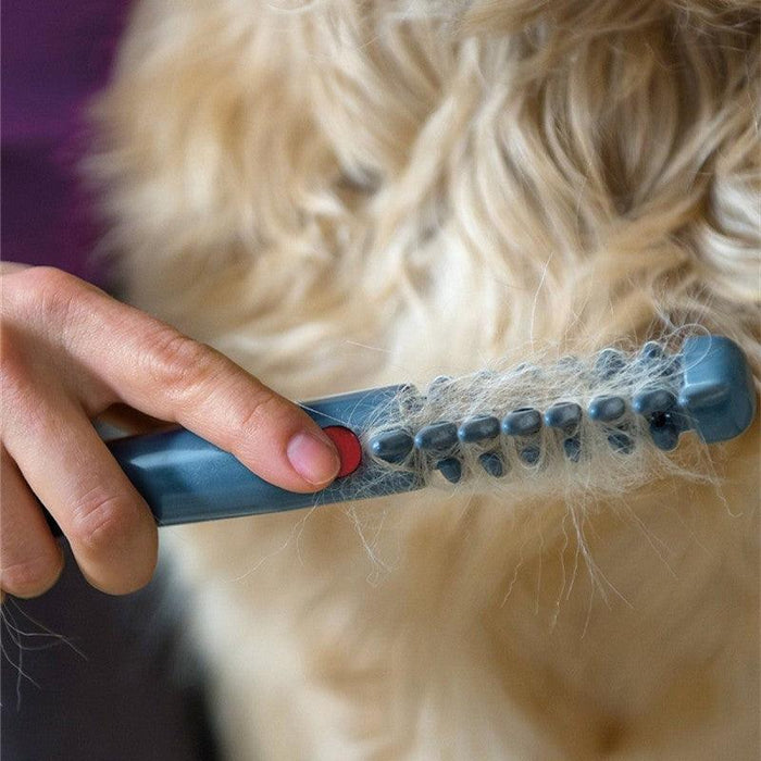 The Electric Pet Grooming Comb - EverWindy Market