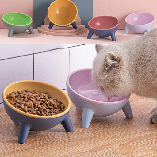 Cat Dog Bowl With Stand Pet Feeding Food Bowls Dogs Bunny Rabbit Nordic Color Feeder Product Supplies Pet Accessories - EverWindy Market